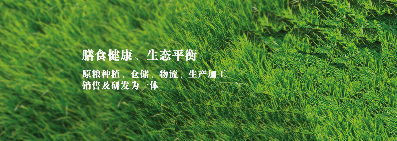 url(http://www.topmov.net/style/banner1.jpg)